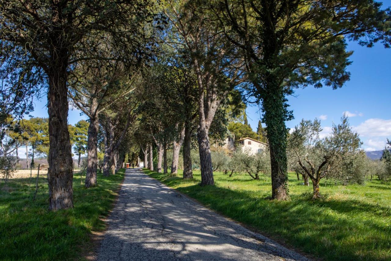 Borgo Petroro Hotell Todi Eksteriør bilde